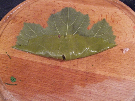 Ridicam capetele dinspre codita